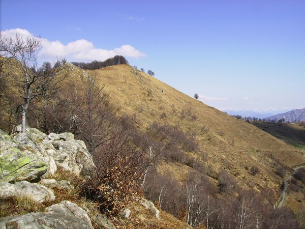 Sentiero Alpe dei Rossi - Monte Novesso